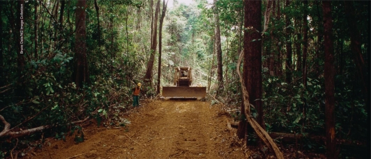 <strong>How might the clearing of roads and pristine areas like the one shown below lead to an increase in infectious disease?  </strong> A)There is an increased risk of sewage leaking into the water supply. B)The creation of drainage ditches provides habitat for disease carrying mosquitoes. C)Typhoid and cholera can spread from wild animals to drinking water. D)Cars on the road can carry the diseases to cities. <div style=padding-top: 35px> 