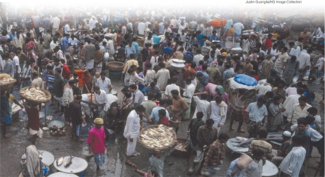 <strong>Why are infectious agents more easily spread more among people who live in a city such as the one pictured below?  </strong> A)Air pollution contributes to the spread of infectious agents. B)Extremely crowded conditions make the transmission of infectious agents easier. C)Industrial pollutants like POPs increase the risk of spreading infectious diseases. D)Road construction allows infectious agents to move into cities. <div style=padding-top: 35px> 