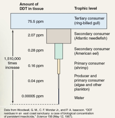 <strong>What phenomenon is illustrated by the diagram shown below?  </strong> A)bioaccumulation B)biomagnification C)persistence D)acute toxicity <div style=padding-top: 35px> 