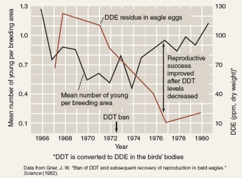 <strong>What effect of pesticides on birds can be interpreted from the graph below?  </strong> A)DDE (a breakdown product of DDT)residue in bird eggs has a negative correlation with reproductive success - when DDE residues are high the number of young per breeding season was low. B)Even though DDT was banned in 1972, reproductive success of birds has yet to improve. C)The graph provides evidence of how DDT bioaccumulates and biomagnifies in birds. D)DDT causes acute toxicity in birds. <div style=padding-top: 35px> 