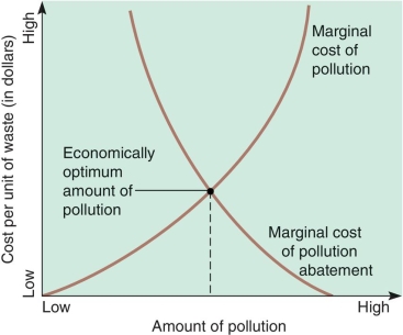 <strong>The graph below represents the cost-benefit diagram for identifying the optimum amount of pollution. The intersection of the two lines indicates </strong> A)cost of manufacturing a product if pollution were not considered B)maximum amount of pollution produced in a given process C)optimum amount of pollution that is economically desired D)point where no measurable pollution is produced