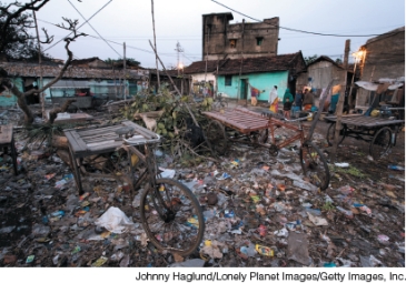 <strong>What does the photograph BEST represent? </strong> A)A deep ecology worldview. B)Sustainable consumption. C)Child labor. D)Poverty.