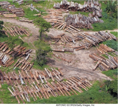<strong>What worldview does this photograph BEST represent? </strong> A)A deep ecology worldview. B)A sustainable consumption worldview. C)A western worldview. D)Any environmental worldview.