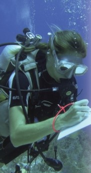 <strong>The scientist in the picture below is MOST likely participating in what step in the scientific process? </strong> A)analysis of data B)collection of data C)formulation of a hypothesis D)studying an experimental group