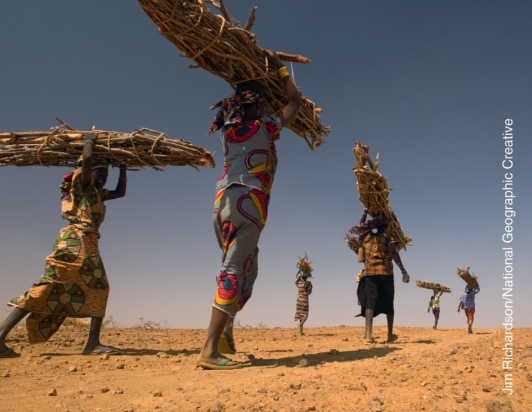 <strong>What type of renewable energy source is being gathered by the women pictured below? </strong> A)geothermal B)active solar C)herbivory D)biomass E)biogas