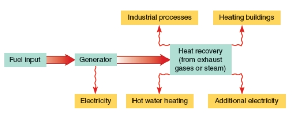 <strong>The diagram below is an energy efficient technology called </strong> A)a biogas digester. B)unlimited renewable energy for consumers. C)energy star labeling program (ESLP). D)cogeneration or combined heat and power (CHP). E)mass-to-energy system.