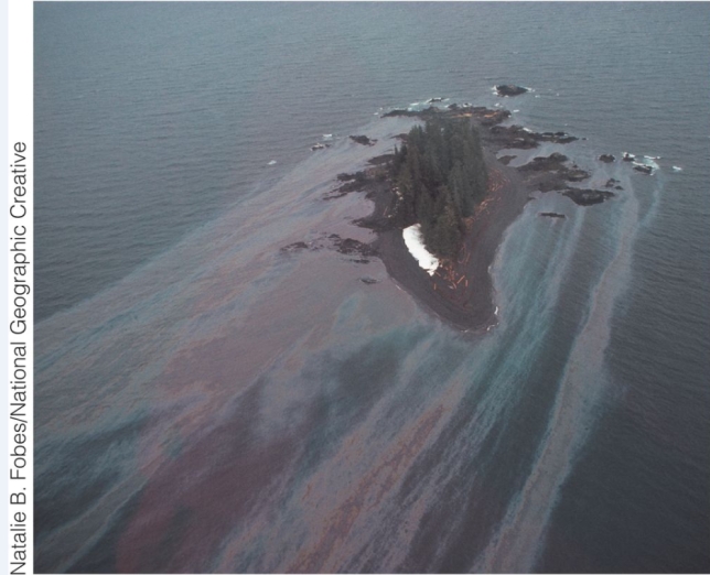 <strong>What does the Oil Pollution Act of 1990 legislate for environmental disasters such as the one pictured below? </strong> A)hazardous pay for clean-up workers B)tidal barriers to help prevent the spread of oil slicks C)a remediation protocol for impacted wildlife populations D)requires that, by 2015, oil be transported by land and not sea E)a trust fund that pays to clean up oil spills when the responsible party cannot