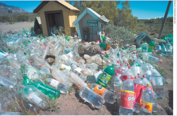 <strong>Would the materials illustrated below make a good raw material for composting? Why or why not? </strong> A)no, because the polyvinyl chloride toxins in plastics would leach into the compost and make it contaminated B)no, because composted materials must be biodegradable and these plastics are chemically stable and do not readily decompose C)yes, because plastics can be shredded or shaped into pellets to provide uniformity in the compost D)yes, because global demand for bottled water is increasing and recycling saves resources E)yes, because composting bins can be rotated to thoroughly mix these bottles with other composted materials, speeding up decomposition.