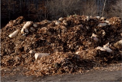 <strong>What best explains the process that is illustrated below? </strong> A)yard wastes are being mixed with crushed glass to make glassphalt B)rubber and plastics are being prepared for incineration C)food scraps and yard wastes are converted into compost or mulch D)seeds are put into the drum to premix with soil for ease of distribution E)noncombustible wastes are being removed by hand prior to incineration