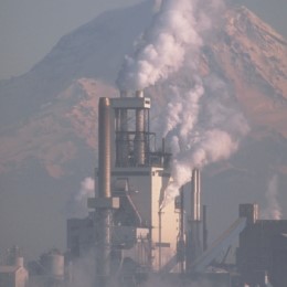 <strong>What makes the type of pollution illustrated below so dangerous? </strong> A)The increased particulate matter in the air causes allergies. B)Water vapor emissions add to greenhouse gases. C)The smoke contributes to smog in the city. D)Liquid spills from railroad cars could contaminate topsoil. E)The smoke stack emissions may contain dioxins.