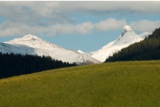 <strong>Which of the following illustrations best represents ecosystem diversity? A B C</strong> A)A B)B C)C D)both A and B E)none of these illustrations capture ecosystem diversity