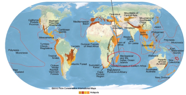<strong>What might you find in the circled region? </strong> A)a protected piece of the National Wildlife Refuge System established by President Roosevelt B)the last known habitat of the Hawaiian goose C)a biological hotspot, which is rich in endemic species D)the Svalbard Global Seed Vault opened in 2008 to store 4.5 million seed samples E)captive breeding programs for the endangered sea lamprey