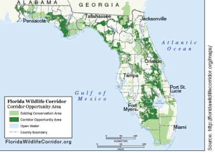 These two figures demonstrate how ________ can be used to connect isolated unlogged or undeveloped areas.