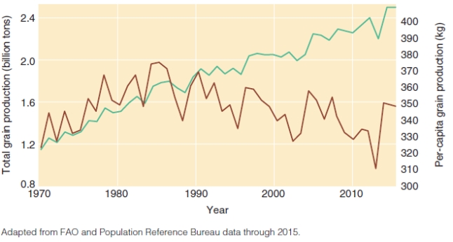<strong>Based on the graphs below, what conclusion can you draw concerning human population and world hunger? </strong> A)as the total world grain production increases, world hunger decreases B)the total grain production varies according to weather conditions, so world hunger is intermittent C)if the increase in world grain production continues to rise at this rate, world hunger will be eradicated by 2020 D)the increase in world grain production does not change the amount of grain produced per person because the population is also increasing, so hunger persists E)there is no relationship between the size of the human population and world hunger