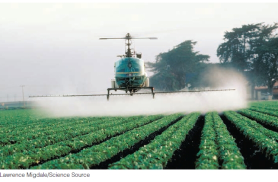<strong>Which of the following is not a serious concern with the type of pesticide application illustrated below? </strong> A)harming species other than the ones for which the pesticide is intended B)inability of the pesticide to readily break down into safe materials such as water, carbon dioxide, and oxygen C)mobility of the pesticide through water runoff D)pest species evolving genetic resistance to pesticides E)ease of application to ensure that all plants are equally treated with pesticide