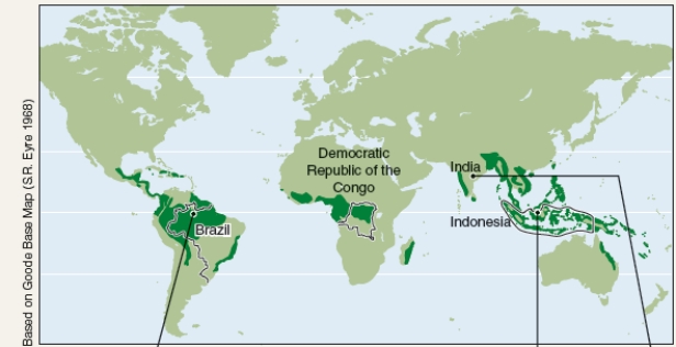 <strong>What is designated by the green areas on the map? </strong> A)Areas where FSC certified wood is grown. B)Location of the world's boreal forests. C)Regions where most commercial logging occurs. D)Location of the world's tropical rainforests.