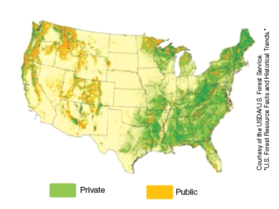 <strong>The figure below shows ownership of forests in the United States. What is the total percentage of forests that would be considered public lands (i.e., owned by the government)? </strong> A)43% B)25% C)10% D)1%
