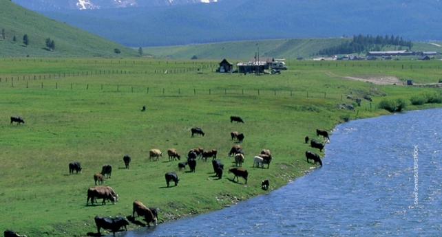 <strong>The photo below BEST illustrates: </strong> A)a wildlife corridor B)a clear-cut C)rangeland D)tundra