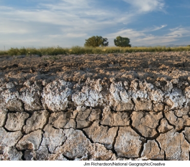 This irrigated soil in Colorado can no longer be used for agriculture because of the accumulation of
