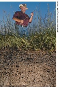 The figure (A)below shows a generalized soil profile. Explain what a soil profile is then apply this information to compare and contrast the soil profile in the two photographs (B and C)below. A B C
