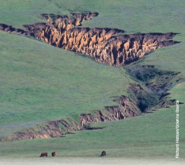 What are the soil problems depicted in the photographs below. Describe the problems and explain how human activity contributes to causing/exacerbating these problems. Why are the problems depicted of serious concern? A B