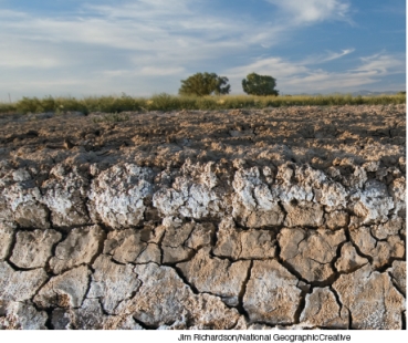 What are the soil problems depicted in the photographs below. Describe the problems and explain how human activity contributes to causing/exacerbating these problems. Why are the problems depicted of serious concern? A B
