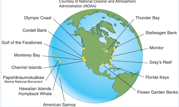 <strong>What is the map below representative of?  </strong> A)Marine pollution hot-spots. B)Areas where the largest commercial fishing operations are based. C)Locations of national marine sanctuaries. D)Areas that are best suited for aquaculture. <div style=padding-top: 35px> 