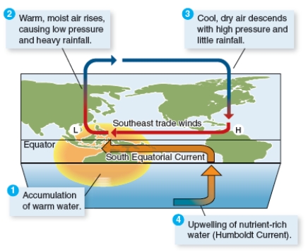 Compare and contrast the two figures below. Explain in each case what the event is and what causes it to occur. Please include in your discussion: what effects the events have on marine life and why.    <div style=padding-top: 35px> 