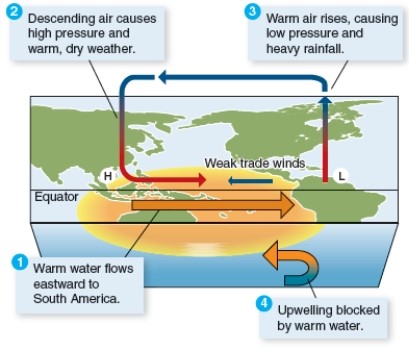Compare and contrast the two figures below. Explain in each case what the event is and what causes it to occur. Please include in your discussion: what effects the events have on marine life and why.    <div style=padding-top: 35px> 