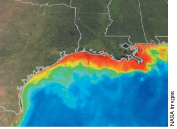 What is shown in the satellite image below? Discuss the causes for this and the ecological impact of this process.  <div style=padding-top: 35px> 
