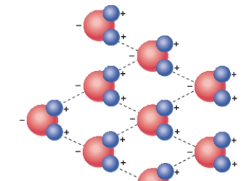 <strong>What do the dashed lines shown in the diagram below illustrate? </strong> A)Hydrogen bonding B)The polarity of water C)The chemical formula of water D)The physical properties of water E)Oxygen bonding