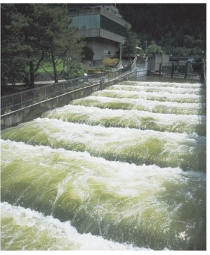<strong>What is the structure located at the Rocky Reach Dam on the Columbia River and shown in the photograph below designed to do? </strong> A)It reduces erosion downstream. B)It improves the efficiency of hydroelectric generation C)It slows down water to decrease sedimentation D)It is a fish ladder to help fishes migrate upstream