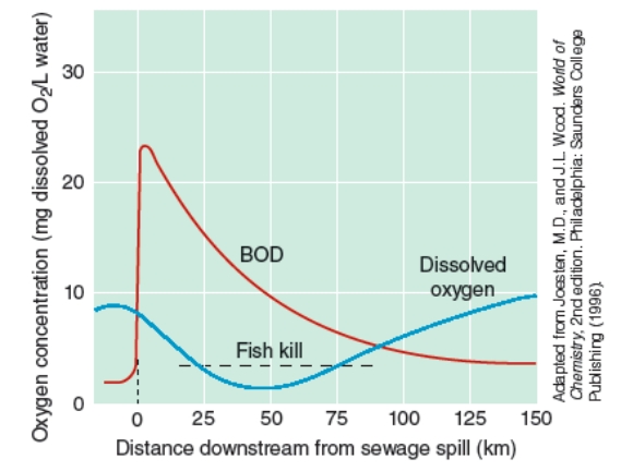 <strong>Given the data in the graph below, at what approximate distance downstream from the sewage spill will a fish kill be most likely? </strong> A)0 km B)5 km C)50 km D)75 km