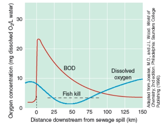 <strong>According to the graph below: </strong> A)as you move away from the sewage spill, the demand for oxygen falls and then rises. B)the more raw sewage present, the less demand for oxygen. C)when the dissolved oxygen is less than 4 gm/liter of water fish cannot live and the dissolved oxygen will continue to fall. D)none of the above is true.