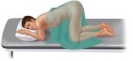 The examination position pictured here is the ________ position.