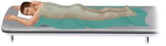 The examination position pictured here is the ________ position.