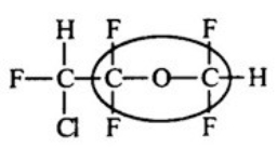<strong>Enflurane is an effective gaseous anesthetic with relatively low flammability. Identify the functional group circled. </strong> A) Aldehyde B) Ketone C) Ester D) Ether E) Alcohol