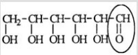 <strong>Glucose is an important sugar in a person's metabolic cycle. Identify the functional group circled. </strong> A) Aldehyde B) Ketone C) Alcohol D) Ester E) Carboxylic acid
