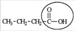 <strong>The compound shown below is responsible for the odor in rancid butter. Identify the functional group circled. </strong> A) Aldehyde B) Ketone C) Alcohol D) Carboxylic acid E) Carbonyl
