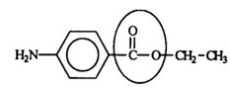 <strong>Benzocaine is from a family of chemicals that are good local anesthetics. Identify the functional group circled. </strong> A) Aldehyde B) Ketone C) Ester D) Carboxylic acid E) Carbonyl