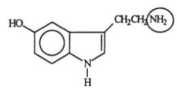 <strong>Serotonin transmits nerve impulses through the body. Identify the functional group circled. </strong> A) Aldehyde B) Alcohol C) Amide D) Amine E) Nitride