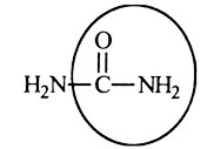 <strong>Urea carries waste nitrogen from the body in urine. Identify the functional group circled. </strong> A) Aldehyde B) Alcohol C) Carboxyl D) Amine E) Amide