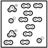 Below is a representation of pure liquid HX, an amphoteric substance, at equilibrium. (Each circle represents 1.0 ×10<sup>-3</sup> mol of atoms, and the volume of the box is 1.0 L.) What is the autoionization constant for HX?