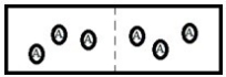 Below is a diagram representing two chambers containing solvent A, separated by a semipermeable membrane (a dashed line) which allows only solvent A to pass through. If a solute X is added to the chamber on the left, which diagram below best represents how the system will respond in order to reach a new equilibrium?