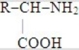 <strong>Which one of these choices is the general structural formula of an amino acid?</strong> A) B) R-CH<sub>2</sub>-NH<sub>2</sub> C) D)