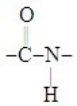 <strong>The functional group found in proteins is called a (an)</strong> A) amide. B) carboxylic acid. C) amine. D) amino acid. E) dipeptide.