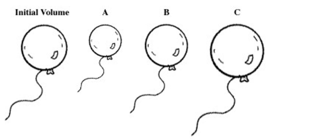 <strong>A balloon is filled with helium gas. For the question(s)that follow, select the letter of the balloon diagram that corresponds to the given change in conditions. </strong> A)A B)B C)C D)A and B E)B and C