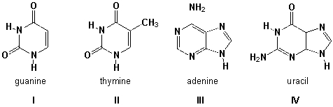 <strong>Which structures are named correctly? </strong> A) I, II B) II, III C) III, IV D) I, III