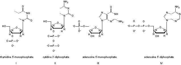 <strong>Which structures are named correctly? </strong> A) I, II B) II, III C) I, IV D) II, IV