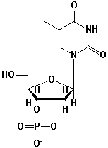 <strong>What is the correct name for this structure? </strong> A) 5'-dAMP B) 5'-TMP C) 3'-AMP D) 3'-dTMP